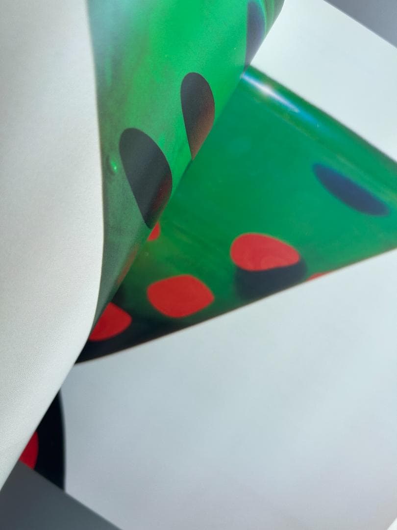 希少本 Carlo Scarpa カルロ スカルパ ガラス作品集 knoll