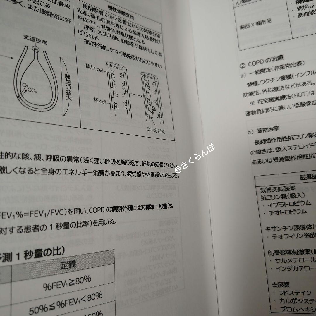 薬ゼミ　2025青本凝縮教科書　短期コース　直前講習　111回〜受験生　未使用も
