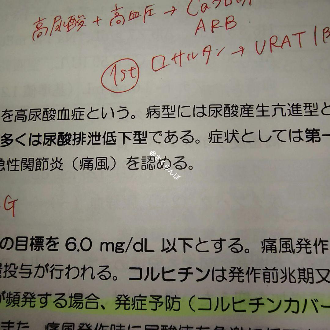 薬ゼミ　2025青本凝縮教科書　短期コース　直前講習　111回〜受験生　未使用も