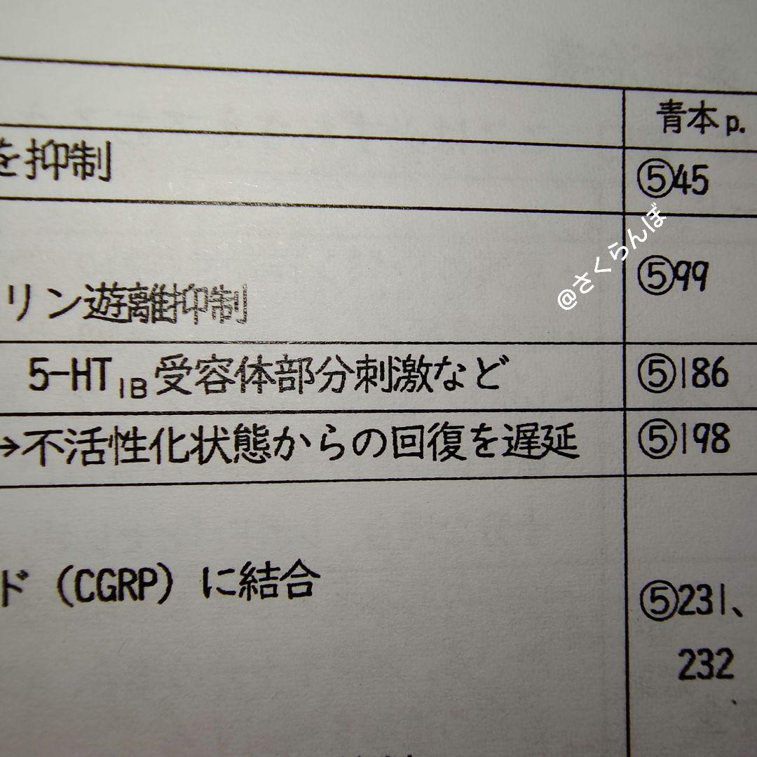 薬ゼミ　2025青本凝縮教科書　短期コース　直前講習　111回〜受験生　未使用も