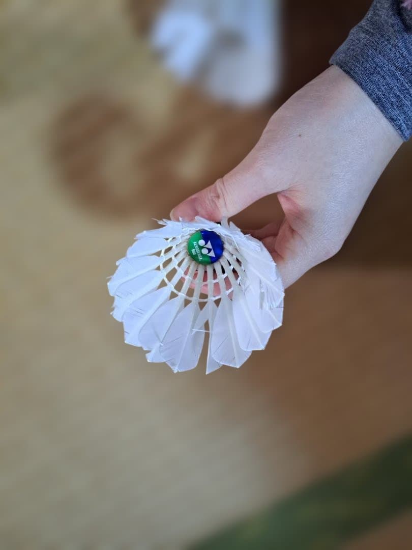 バドミントンシャトル ノック用130球