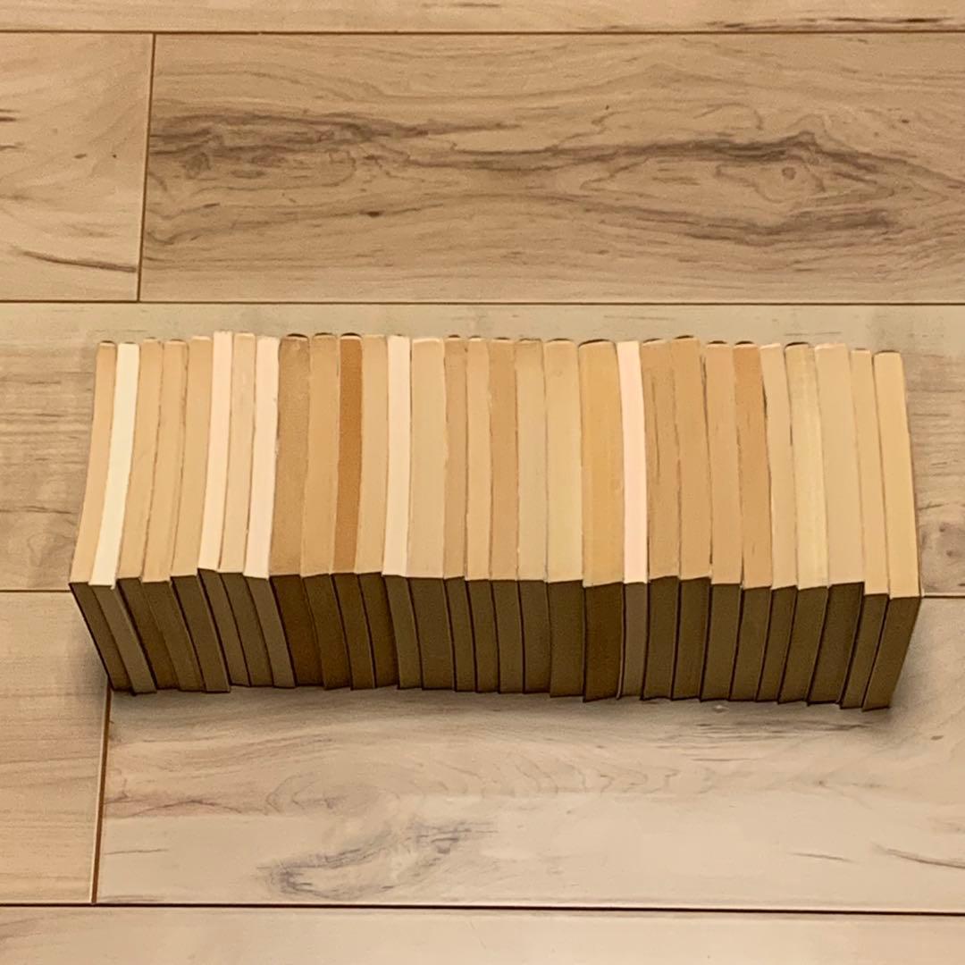 江戸川乱歩 春陽堂 江戸川乱歩文庫全30冊set RANPO EDOGAWA