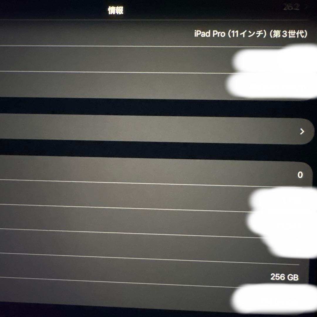 iPad Pro 11インチ 第3世代 256GB