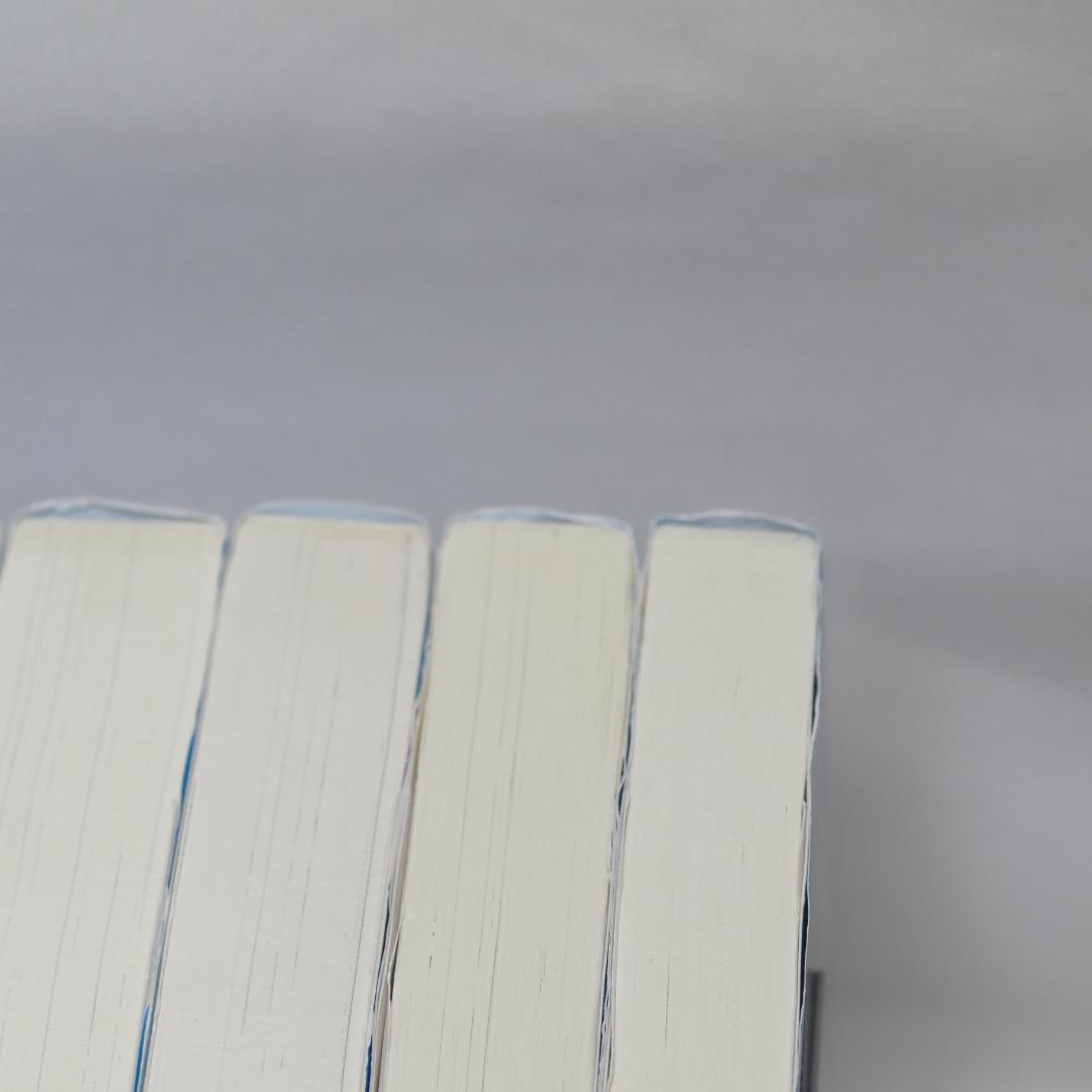 青い鳥文庫『赤毛のアン』全10巻セット