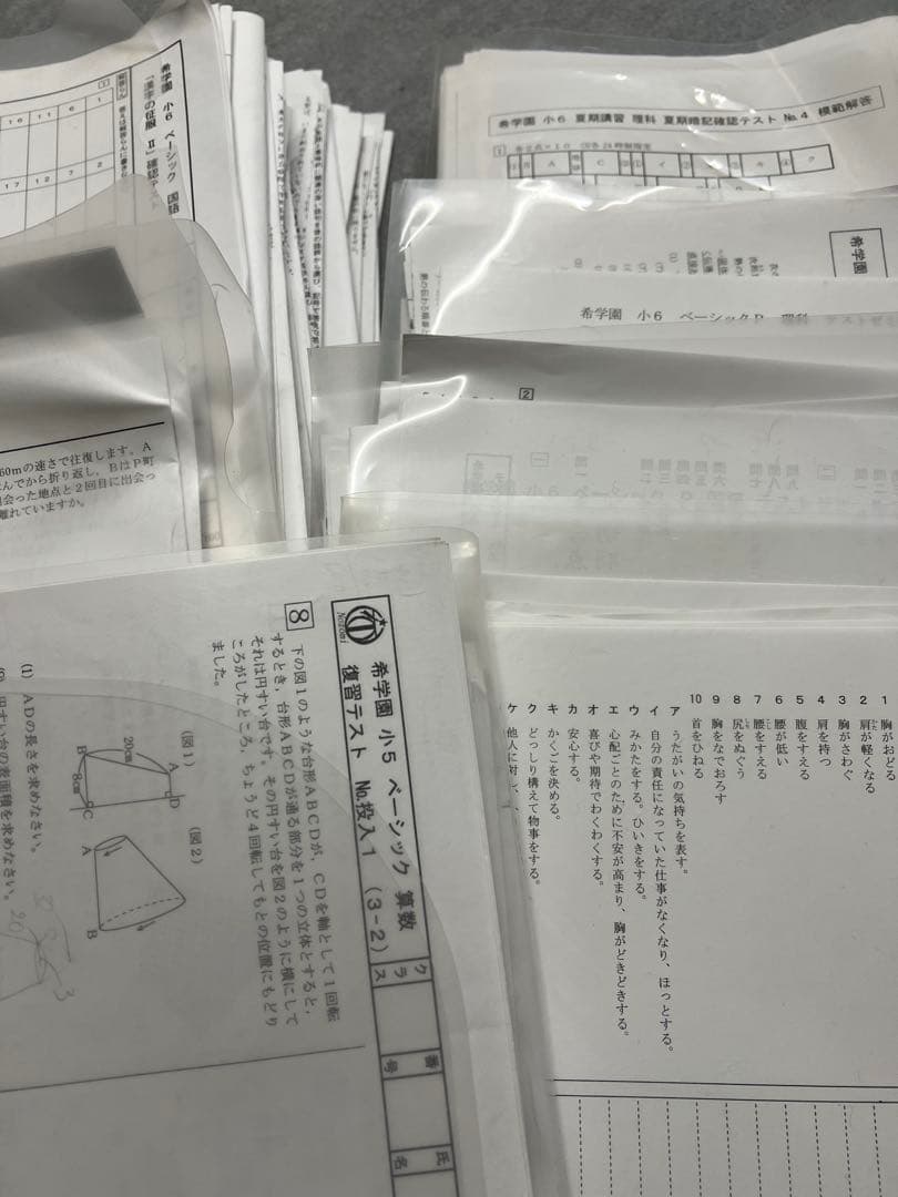 希学園小6算数国語理科テスト1年分ベーシック公開復習講習問題集浜学園日能研馬渕