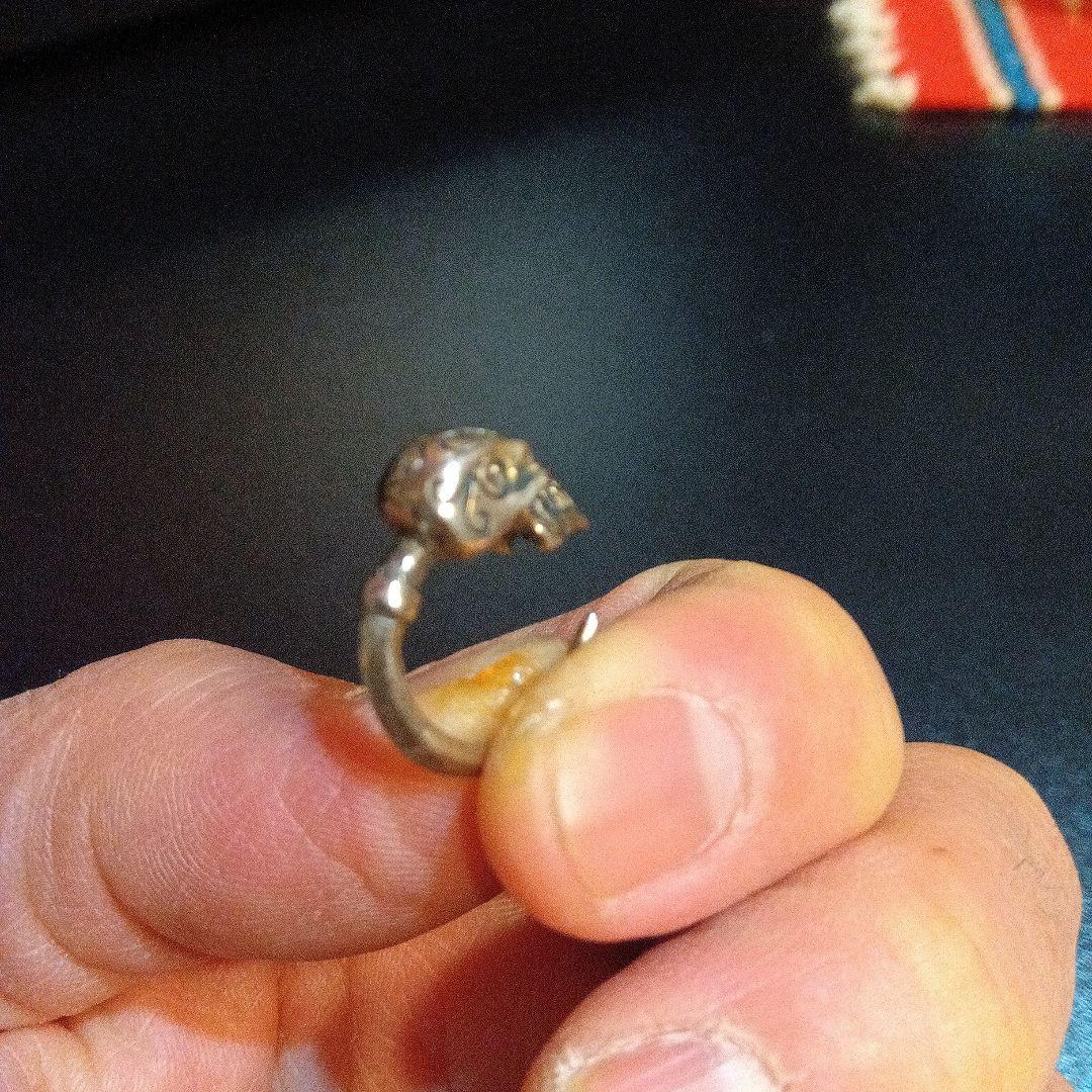 クレイジーピッグ　ピアス