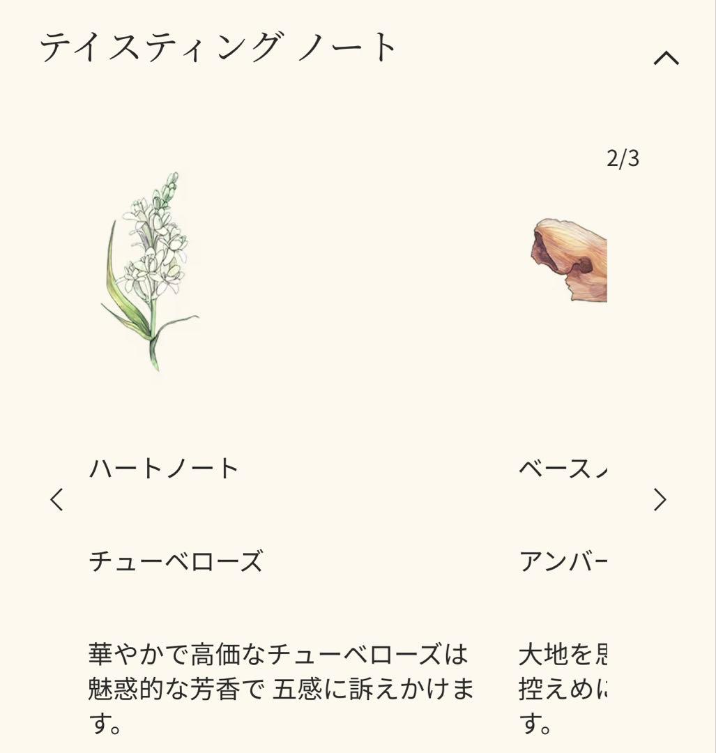 【半額】Jo Malone Tuberose Angelica コロン　50ml