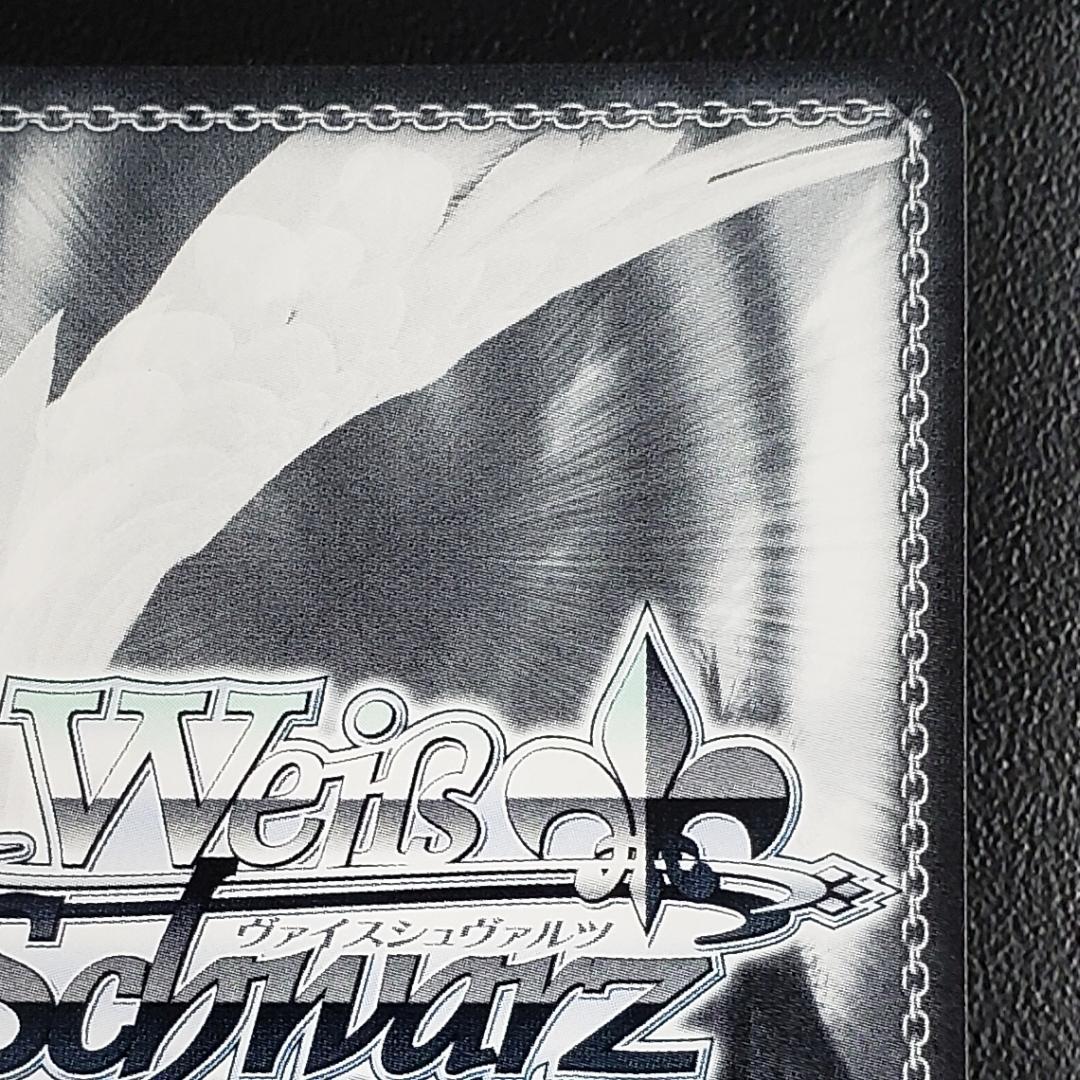 ヴァイス SSP 白い稲妻 タマモクロス 大空直美 箔押しサイン