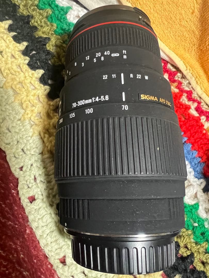 レンズ(ズーム) SIGMA APO 70-300mm F4-5.6 DG MACRO