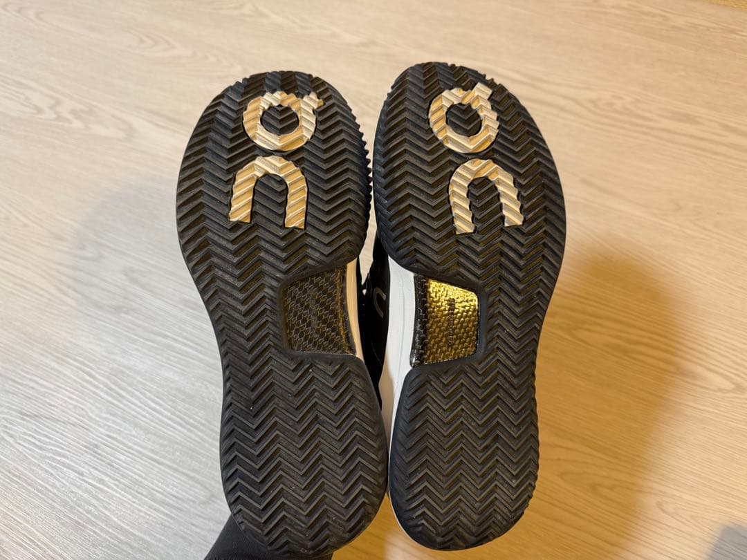 On THE ROGER Pro 2 Clay テニスシューズ　クレー　オン