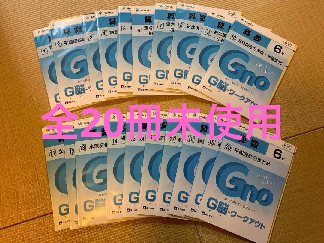 夏期割引【全20冊未記入】中学受験グノーブル　G脳-ワークアウト 新版 6年算数
