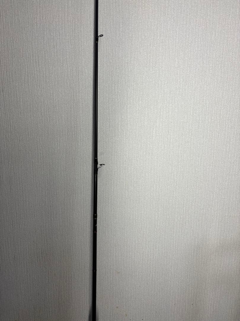 エバーグリーン　カレイド　デジーノスティングレイ66