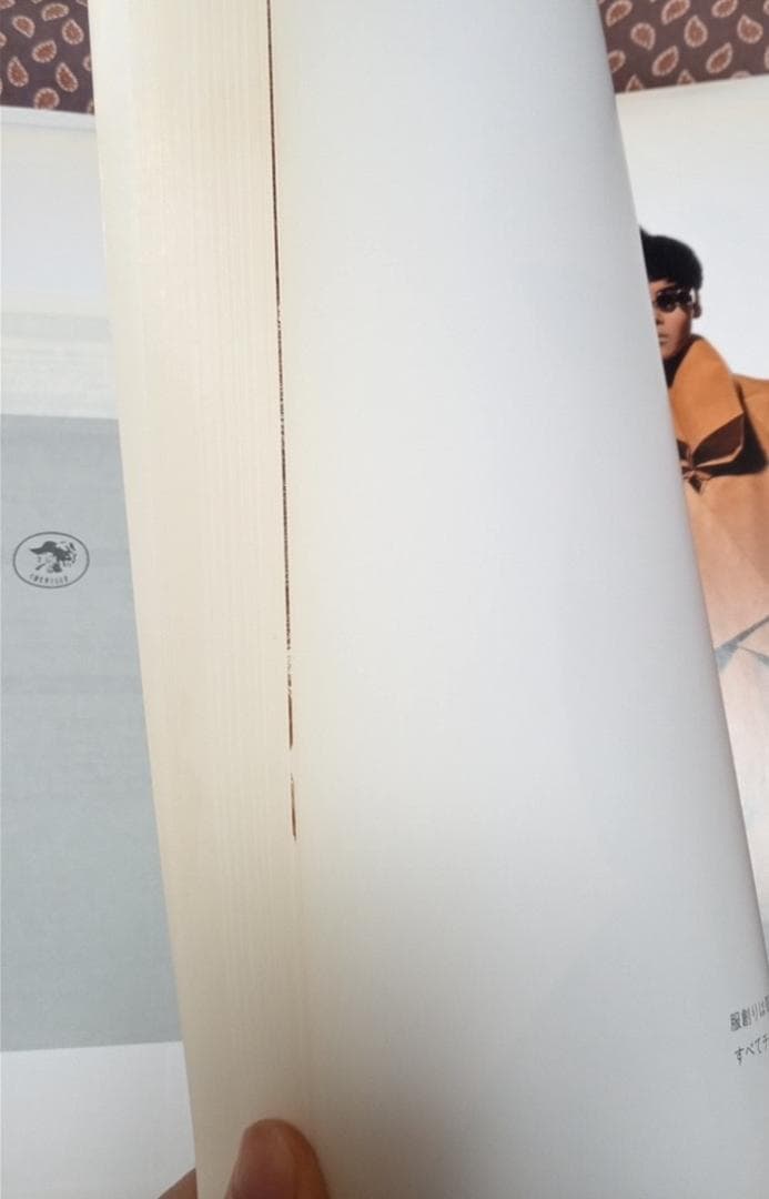 ISSWY MIYAKE 三宅一生写真アーヴィング・ペン写真集作品集