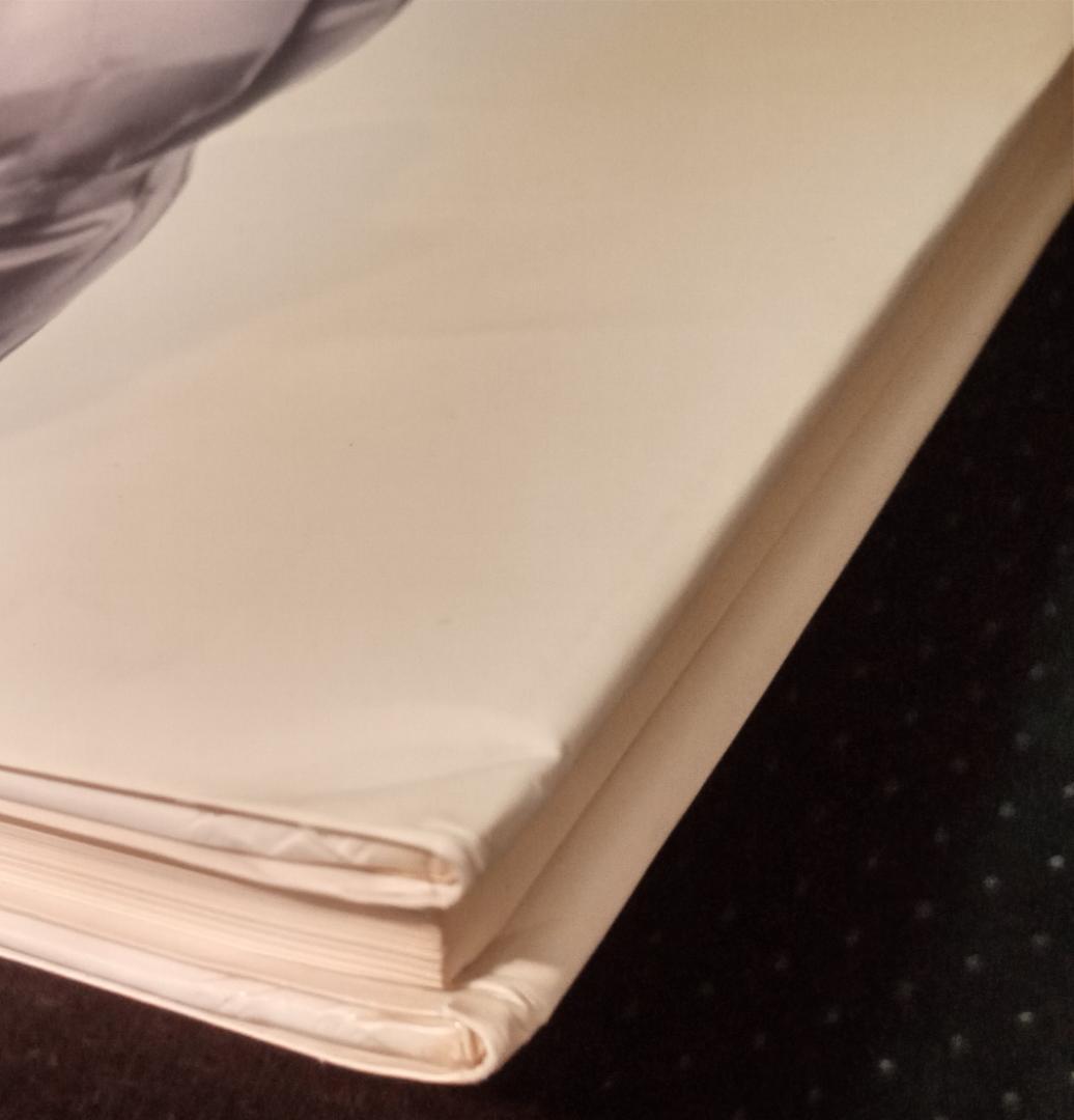 ISSWY MIYAKE 三宅一生写真アーヴィング・ペン写真集作品集