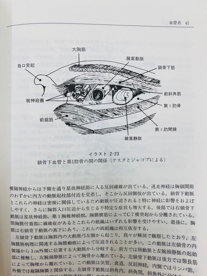 胸郭 Jean-Pierre Barral オステオパシー