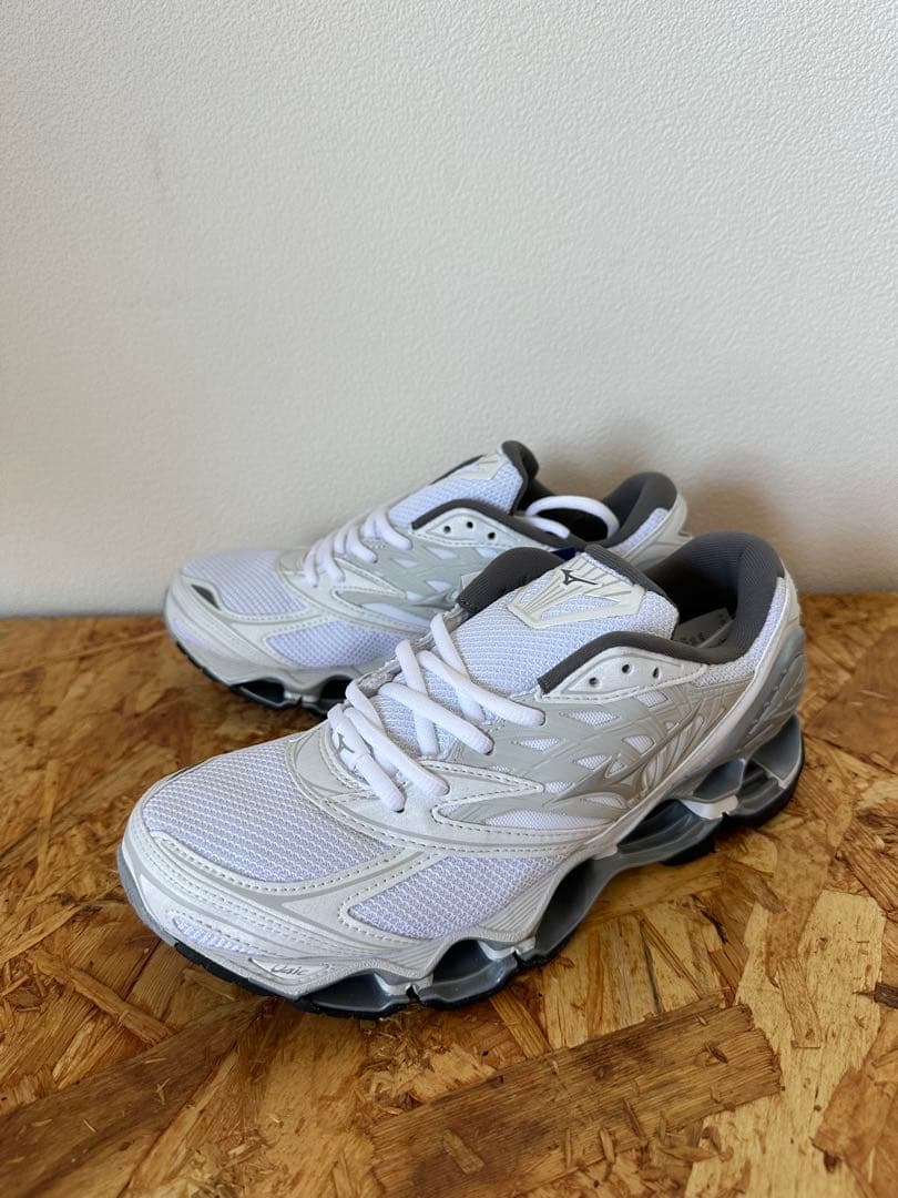 靴 MIZUNO WAVE PROPHECY LS 24cm