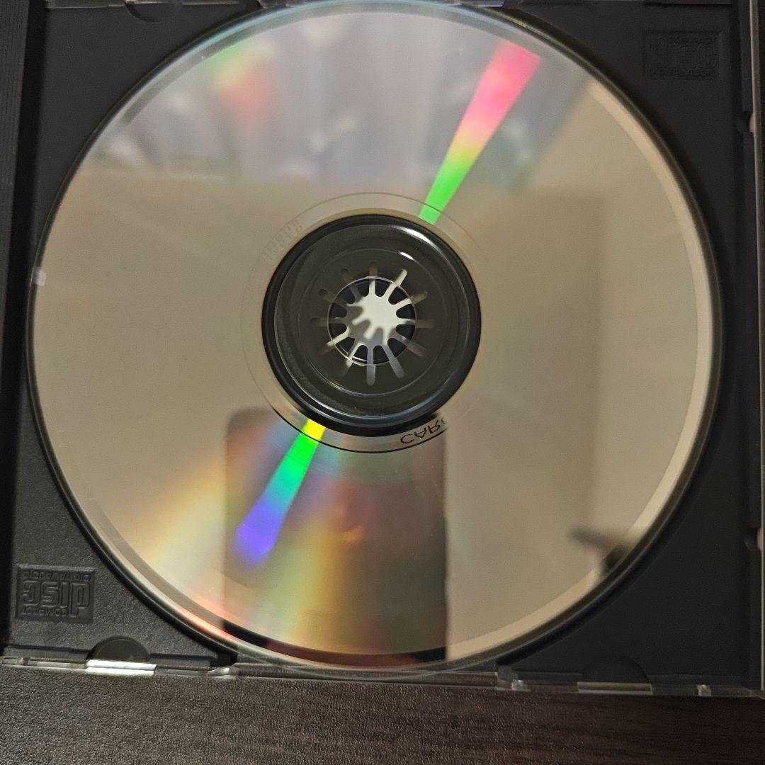 【超レアCD】Drop Nineteens / Delaware