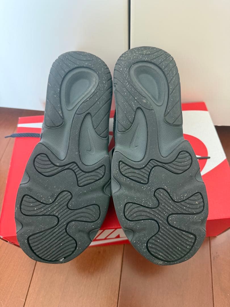 NIKE TECH HERA ナイキテックヘラ　24.0cm