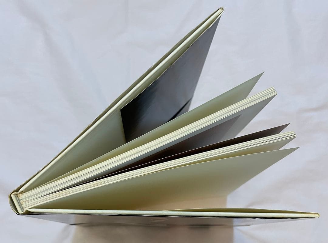 ハミルトン・ピクチャーズ David Hamilton 初版 帯、フライヤー付