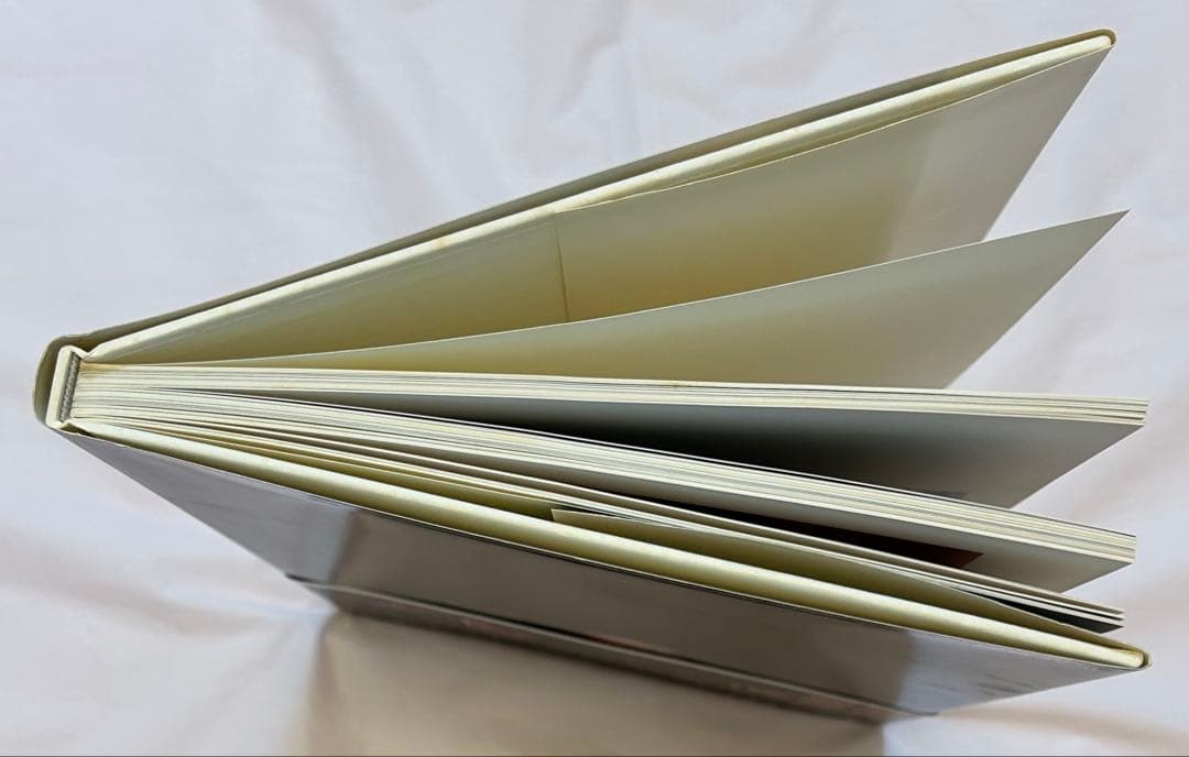 ハミルトン・ピクチャーズ David Hamilton 初版 帯、フライヤー付