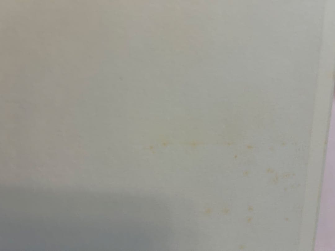 ハミルトン・ピクチャーズ David Hamilton 初版 帯、フライヤー付