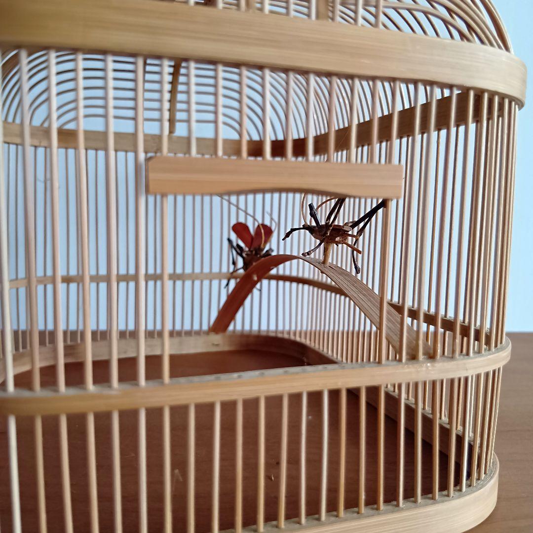 駿河竹千筋細工　竹製　ライト　照明　虫かご　未使用