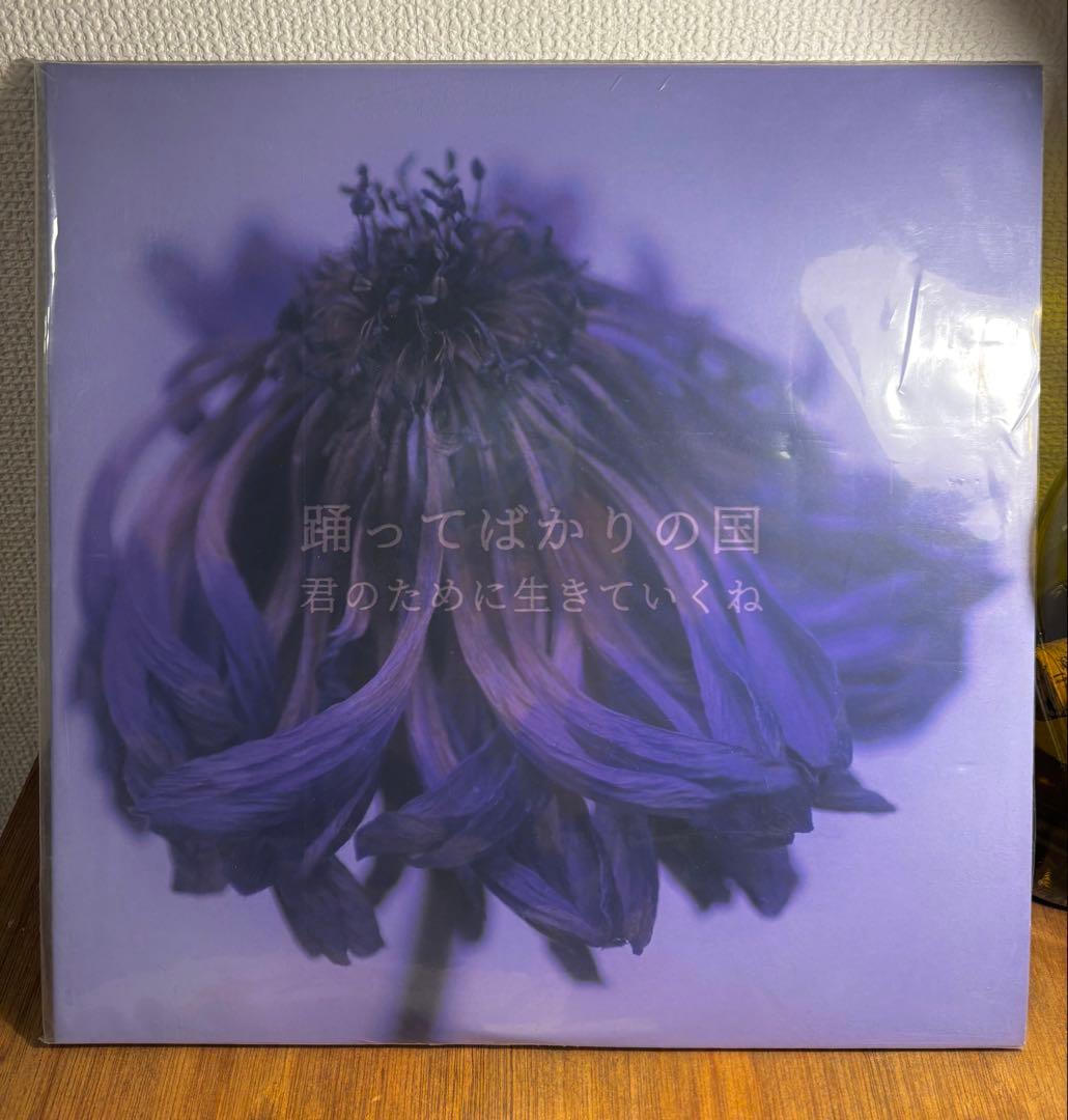 R*R様 【即購入可】踊ってばかりの国 君のために生きていくね レコード　LP