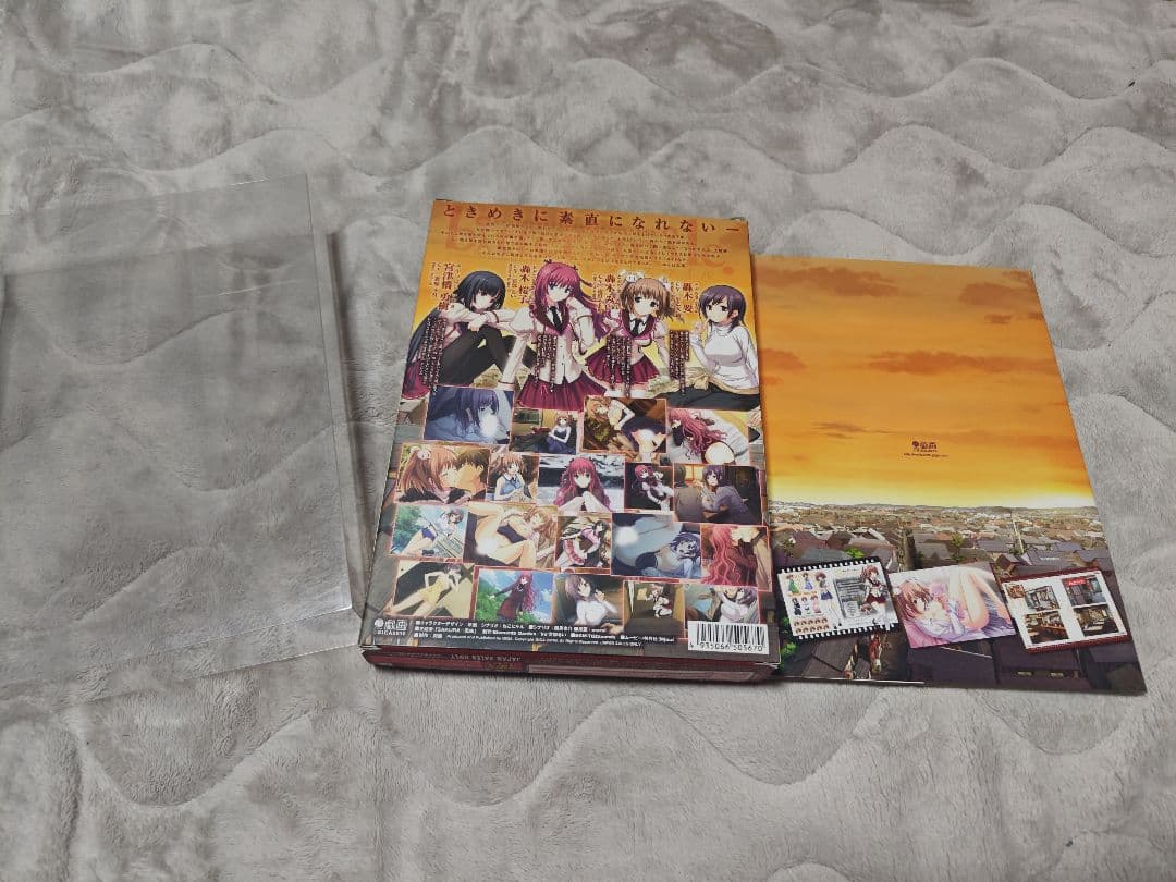 ビタースマイル 初回限定版