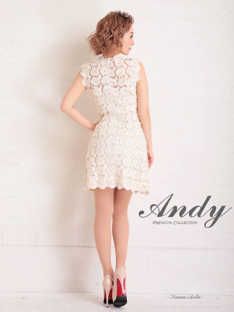 OK2659＊フリンジレース刺繍ハイネックドレスclM