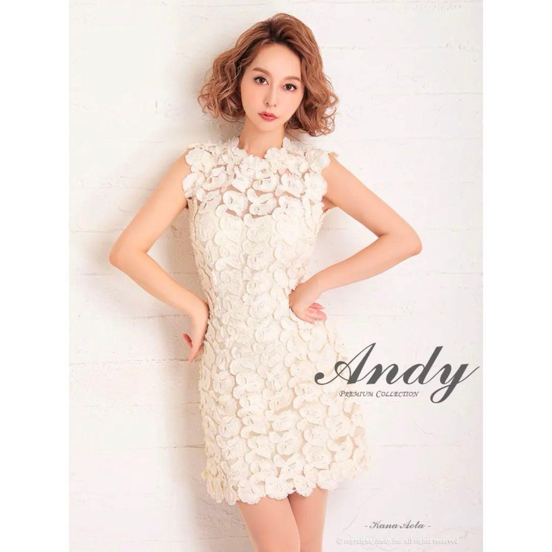 OK2659＊フリンジレース刺繍ハイネックドレスclM