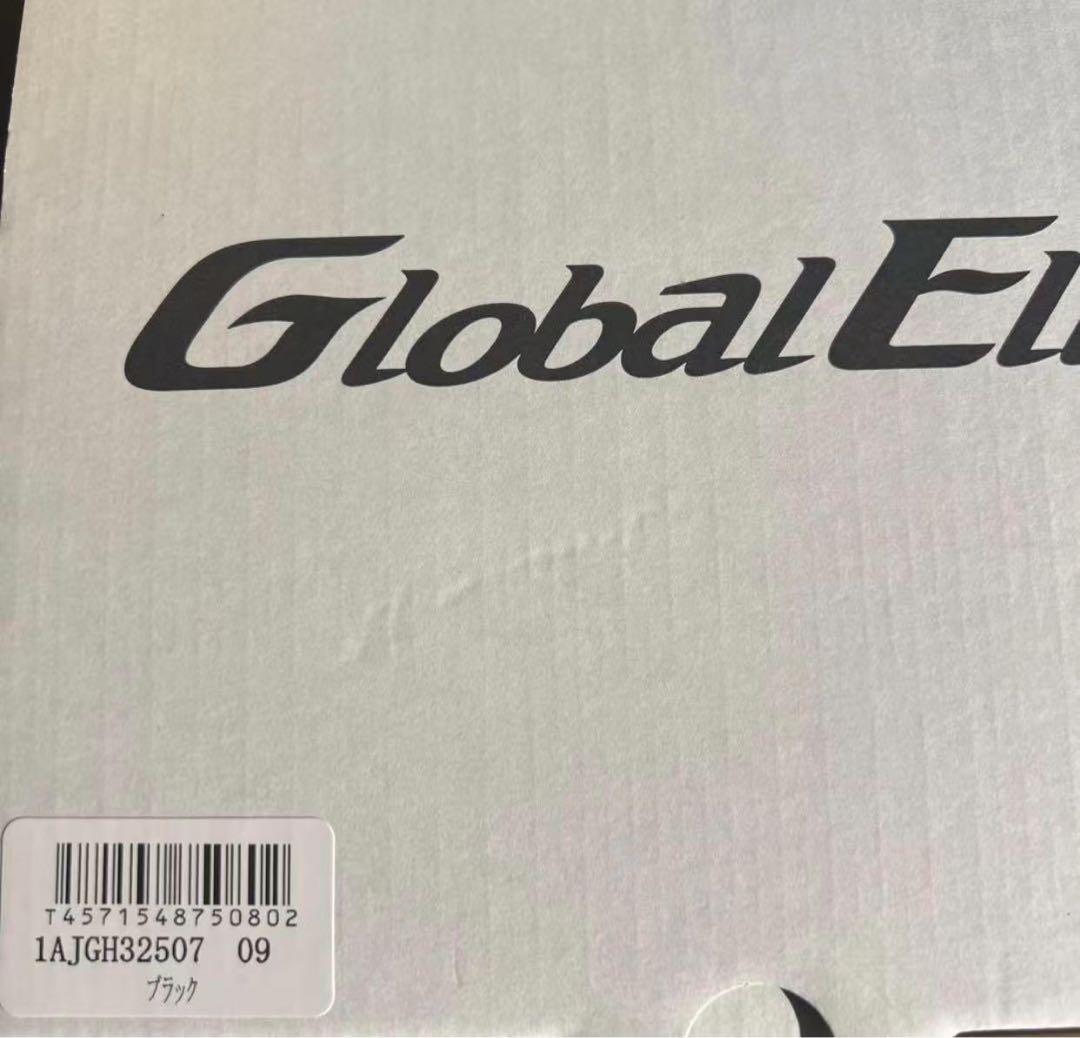 ミズノ MIZUNO 硬式用グローバルエリートHselection SIGNA