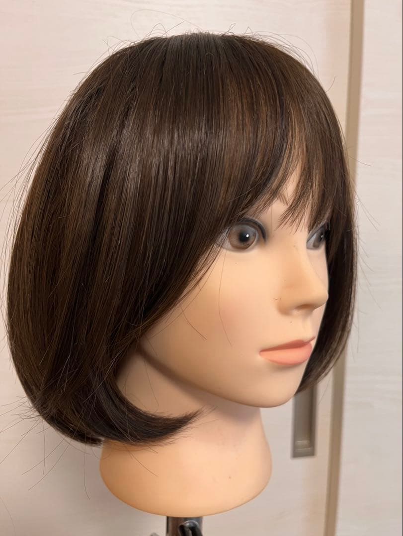 ピンクエイジ　 手植えフルウィッグ　ネイチャーショート（モースト原糸）