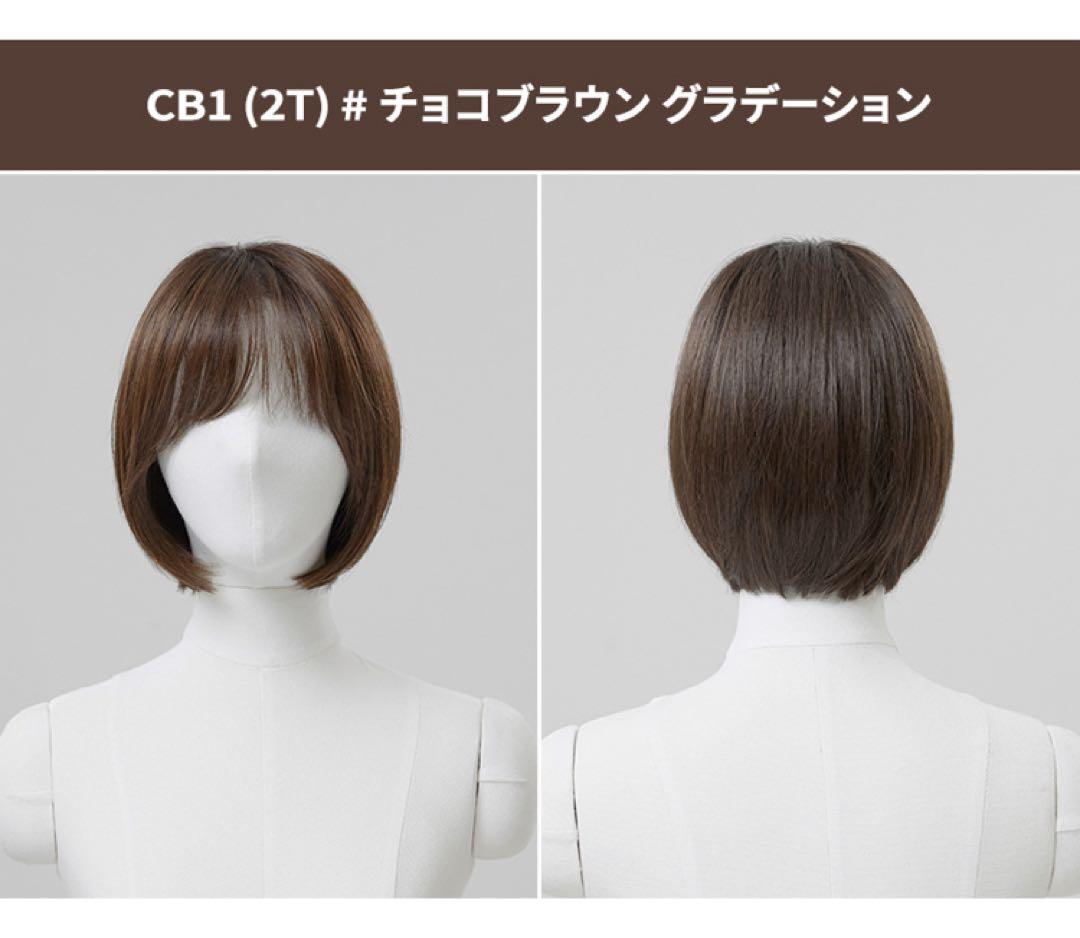 ピンクエイジ　 手植えフルウィッグ　ネイチャーショート（モースト原糸）