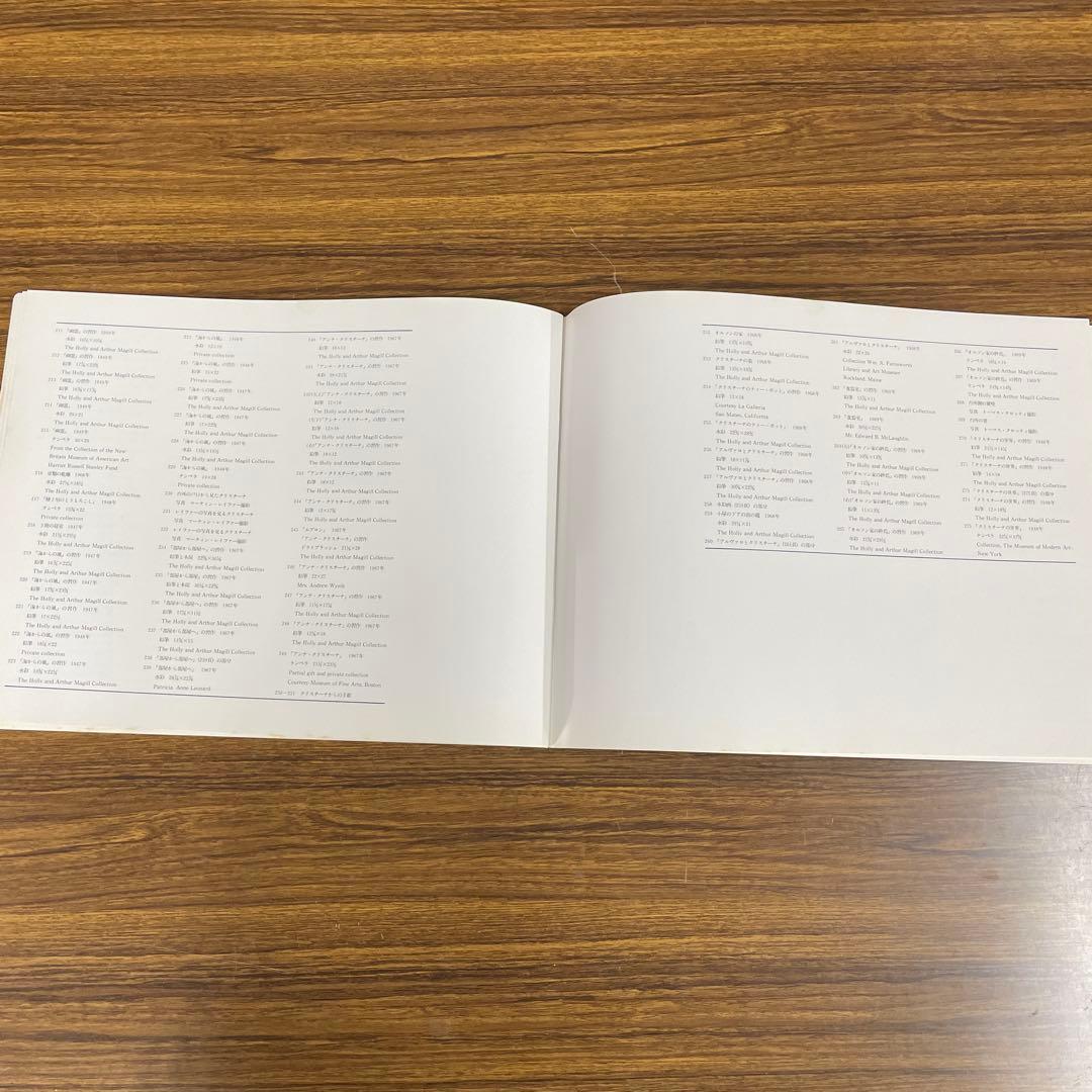 ワイエス 画集Ⅱ 『クリスチーナの世界』