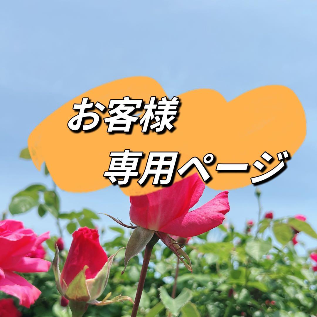 AMi様 リクエスト 5点 まとめ商品　ケシパールリング　ペンダントトップ