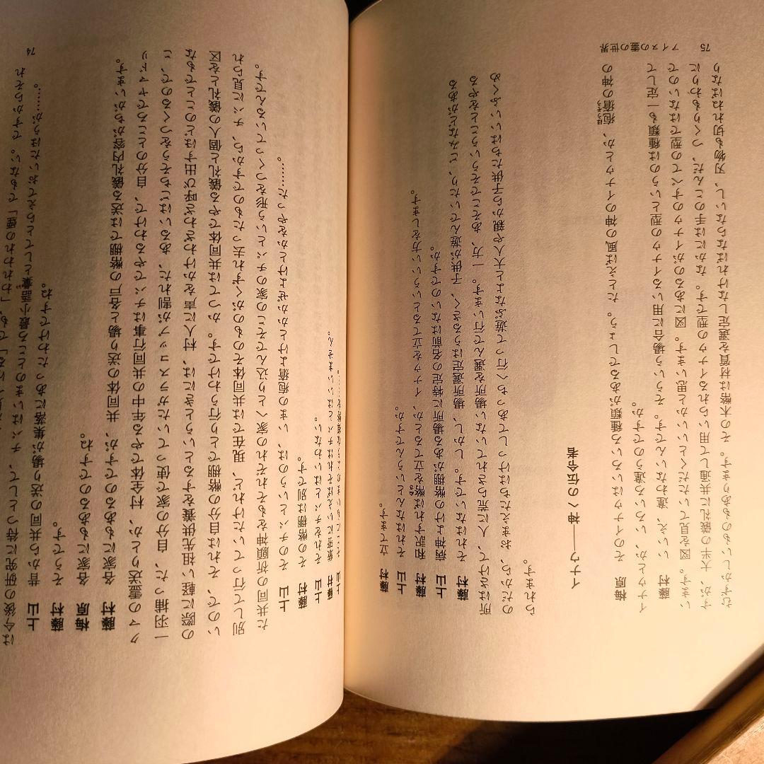 アイヌの霊の世界 藤村久和