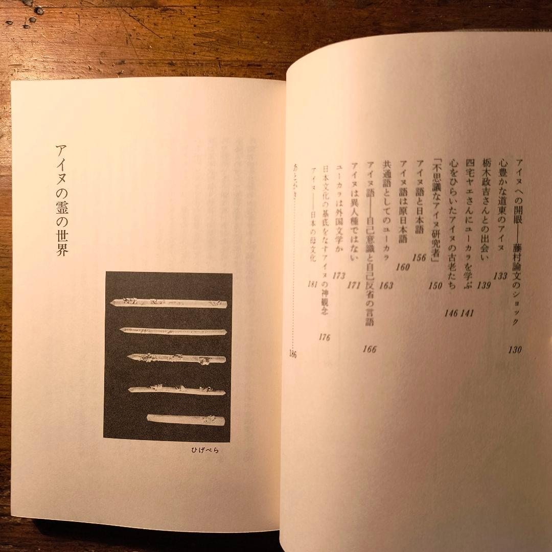 アイヌの霊の世界 藤村久和