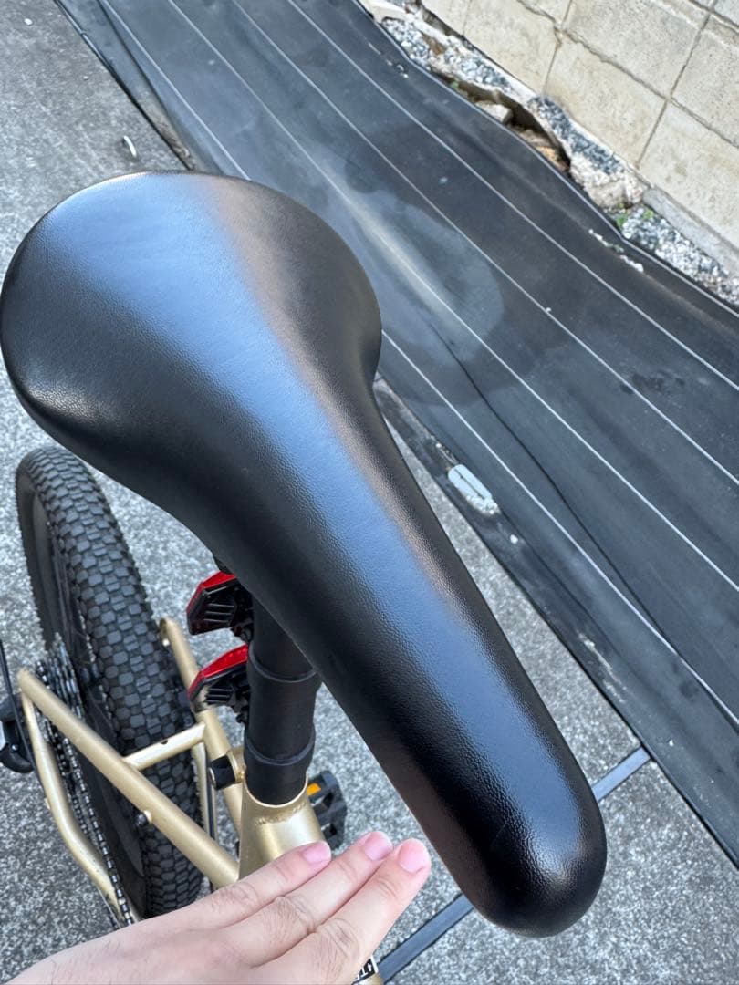 直接ひきとり引き取り限定Tern （ターン）AMP F1 460 ミニベロ