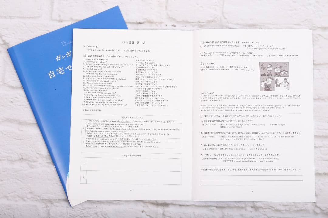 留学レベルの英会話力養成DVD 週1レッスン×1年間分
