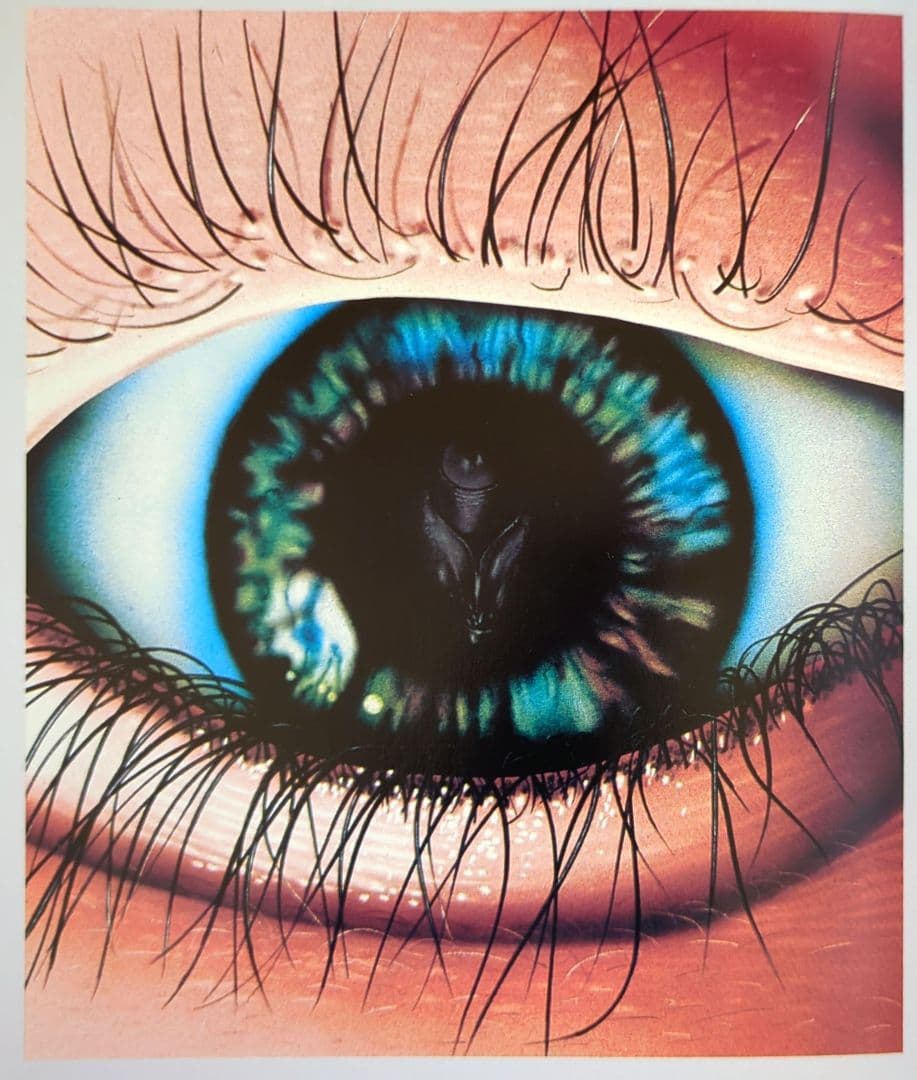 「Adrian Loos GB」アドリアン•ルース 日本芸術出版社 会員限定