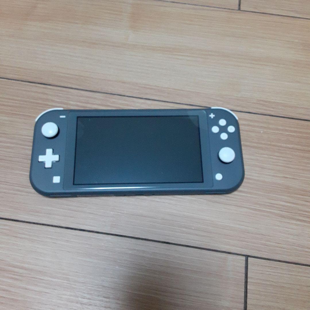 Nintendo Switch NINTENDO SWITCH LITE グ…