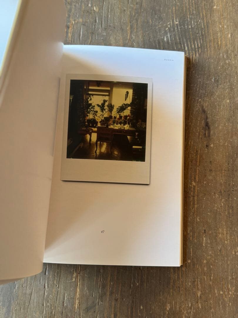 アート・デザイン・音楽 Instant Light : Tarkovsky Polaroids