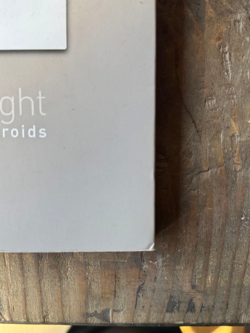 アート・デザイン・音楽 Instant Light : Tarkovsky Polaroids