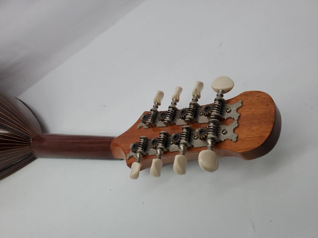 管25 1979年 落合忠男 マンドリン オールド　ビンテージ　ケース有