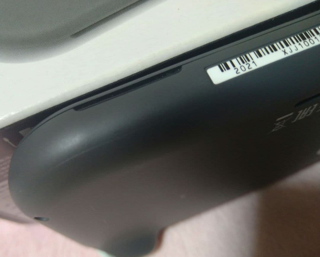 本日のみ。Nintendo Switch Lite グレー