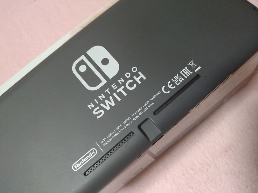本日のみ。Nintendo Switch Lite グレー