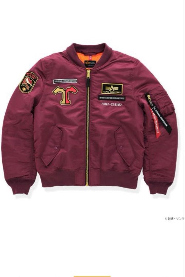 STRICT-G ALPHA『ガンダム SEED FREEDOM』アスラン・ザラ