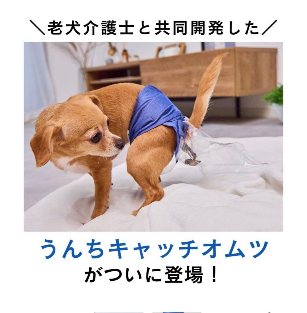 うんコロキャッチ XSサイズ　3枚セット