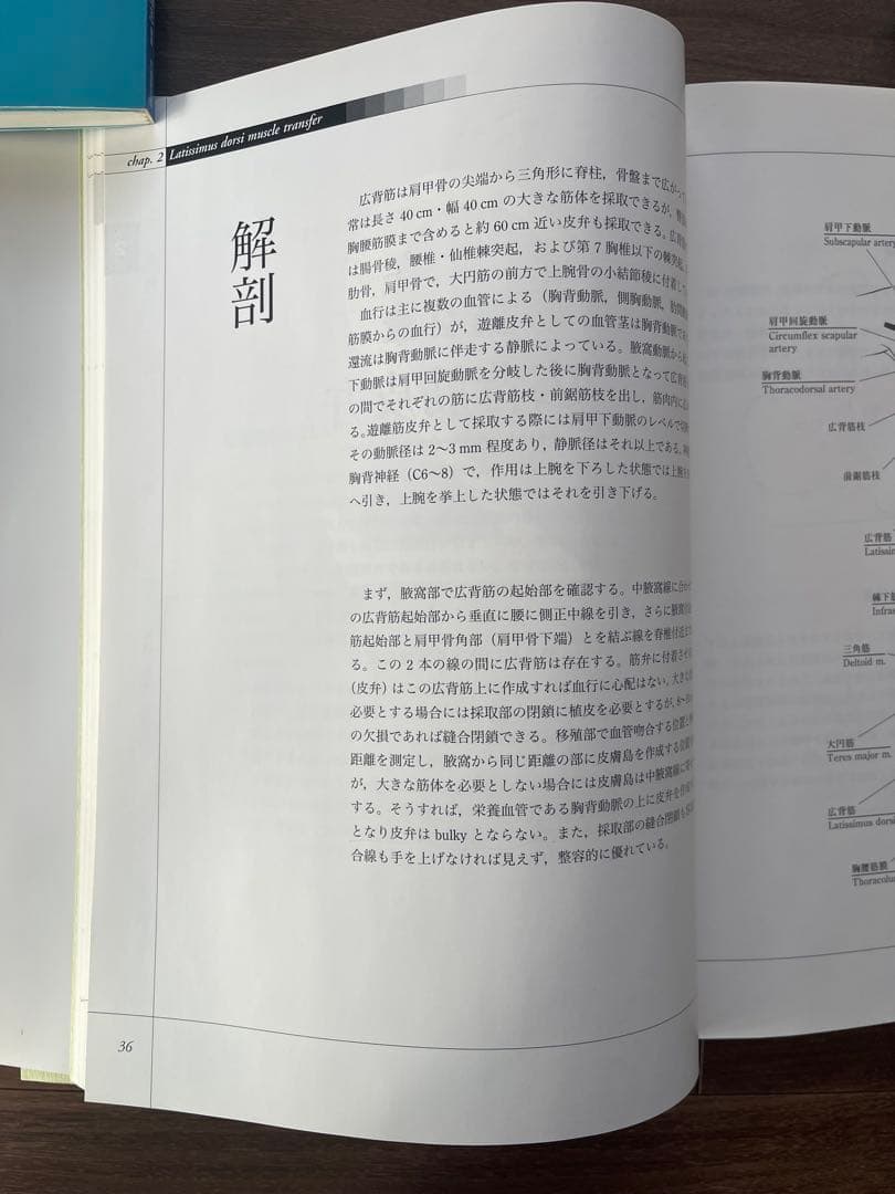 マイクロサージャリー関連書籍3冊セット