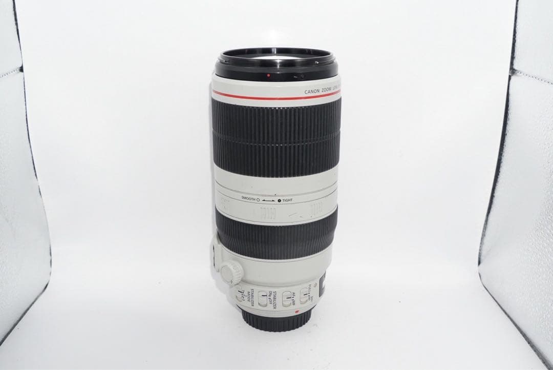 canon EF100-400mm IS Ⅱ